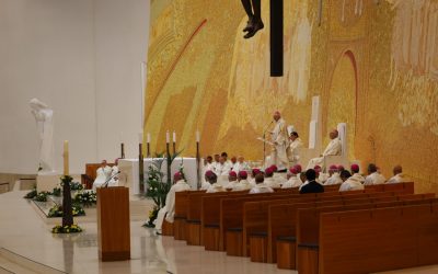 Homilia da Eucaristia pelas vítimas de abusos sexuais, de poder e consciência na Igreja